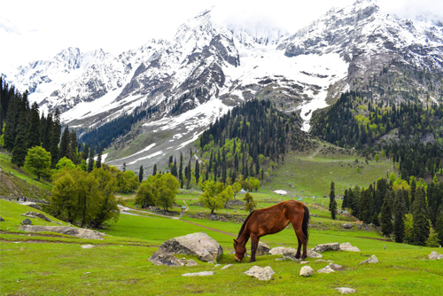 Glorious Kashmir